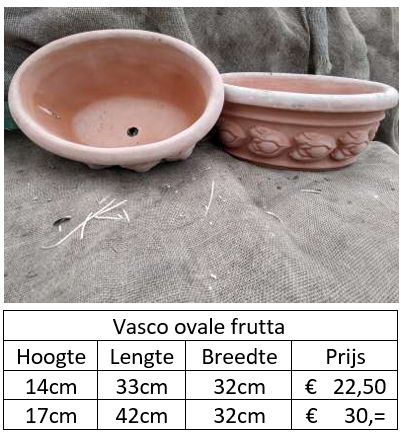 Prijzen Vasco ovale frutta