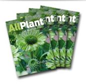 allplant